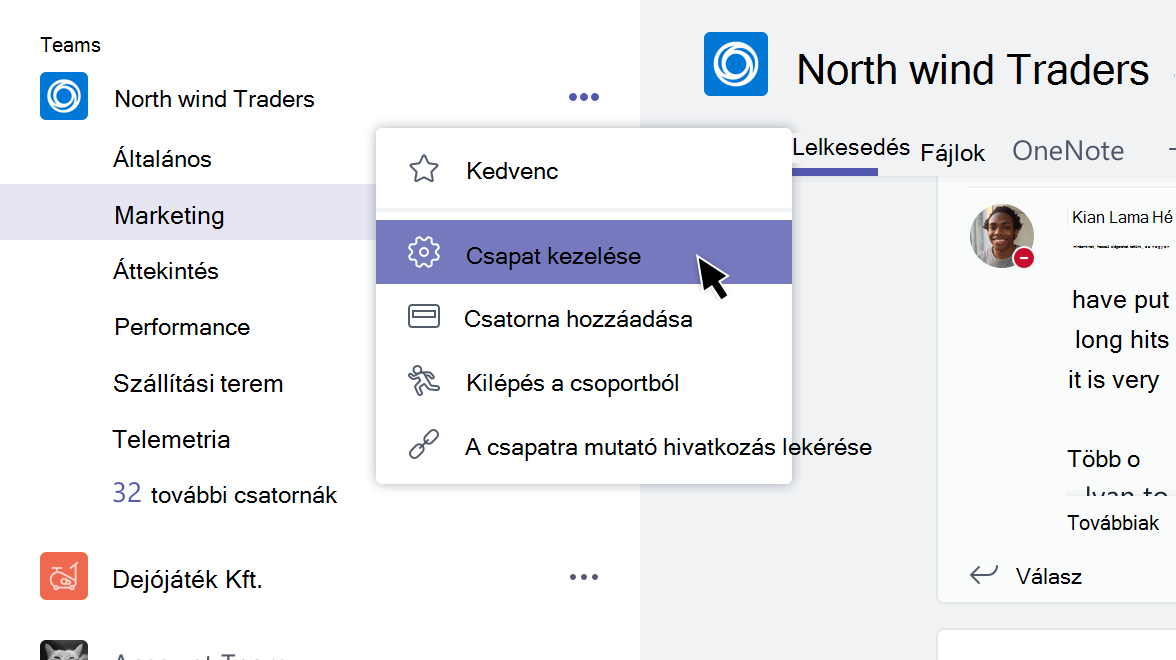 Csoport menü a kiválasztott Csoport kezelése elemmel