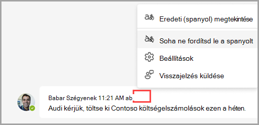 A további lehetőségek megjelenítéséhez válassza ki a fordítási beállításokat egy lefordított üzenet felett.