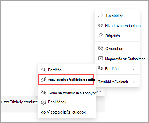 További beállítások kiválasztása az automatikus fordítás bekapcsolásához