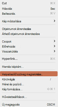 A Helyettesítő szöveg megtekintése lehetőség a Mac PowerPoint helyi menüjében.