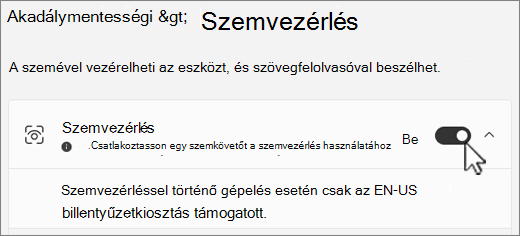 A Kisegítő lehetőségek beállítási ablak Szemvezérlés szakasza