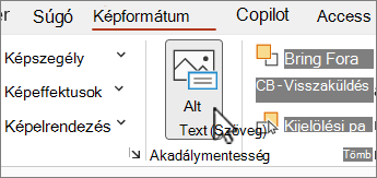 Alt Text button on the Picture Format menu in Word
