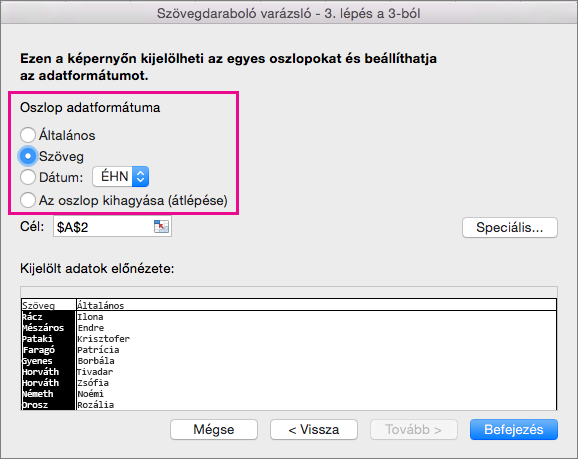 Step 3 in the wizard, Text option selected