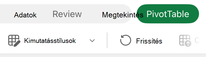 PivotTable tab on iPad