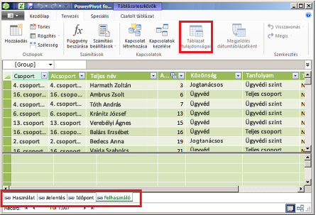 A PowerPivot többlapos ablaka