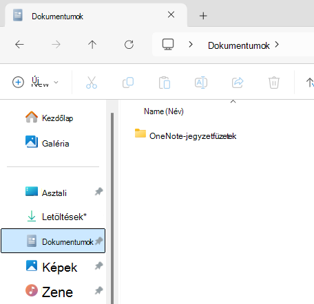 A OneNote-jegyzetfüzet almappát megjelenítő Dokumentumok mappa.