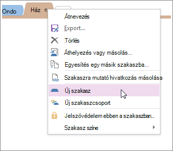 Új szakasz hozzáadása a OneNote-ban