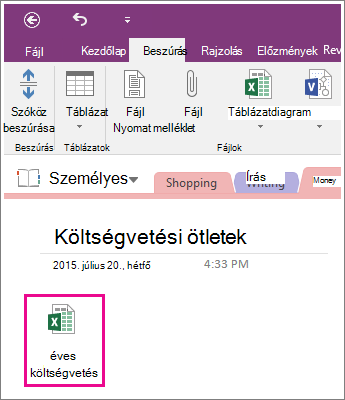 Képernyőkép: csatolt munkafüzet a OneNote 2016-ban.