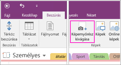 Képernyőkép: a Képernyőrész-kivágás beszúrása gomb a OneNote 2016-ban.