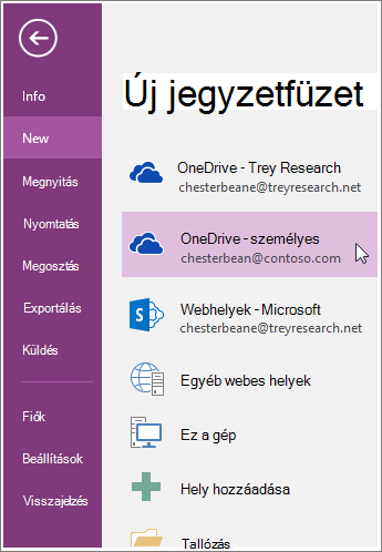 Képernyőkép: új OneNote-jegyzetfüzet létrehozása.
