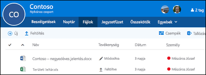Kattintson az Office 365-csoportban a Files elemre a csoportban tárolt fájlok és mappák listájának megtekintéséhez