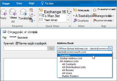 Miután importálta Gmail-névjegyeit, az Office 365-ben a Címjegyzék lehetőséget választva tekintheti meg őket