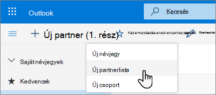 Képernyőkép az Új partner menüről, melyen az Új partnerlista van kijelölve