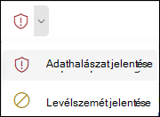 Képernyőkép a Jelentés gombról, melyen az egyszerűsített menüszalagon az Adathalászat jelentése elem van kiválasztva a Webes Outlook alkalmazásban.