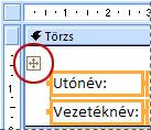 Elrendezéskijelölő űrlapon a Tervező nézetben