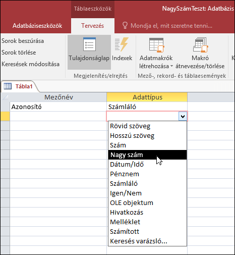 Képernyőkép egy Access-tábla adattípuslistájáról. A Nagy méretű szám van kiválasztva.