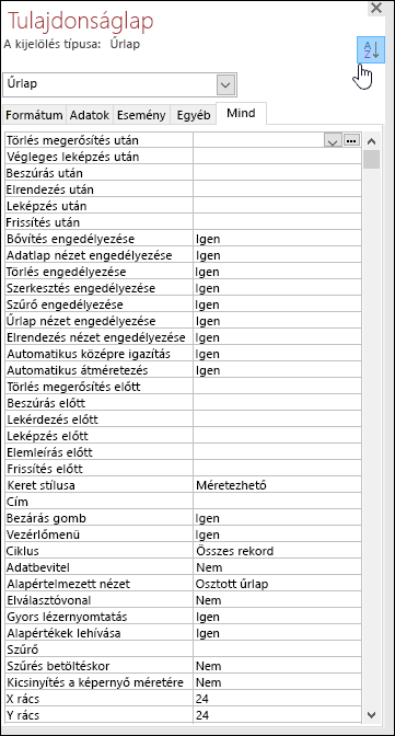 Az Access tulajdonságlapjának képernyőképe betűrendbe rendezett tulajdonságokkal