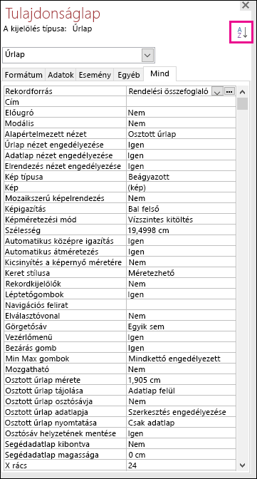 Az Access tulajdonságlapjának képernyőképe tulajdonságrendezés nélkül