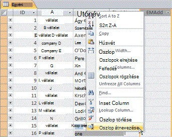 Renaming a column