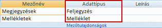 Adattípus beállítása