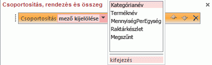 Mezőlista a Csoportosítás, rendezés és összeg ablaktáblán