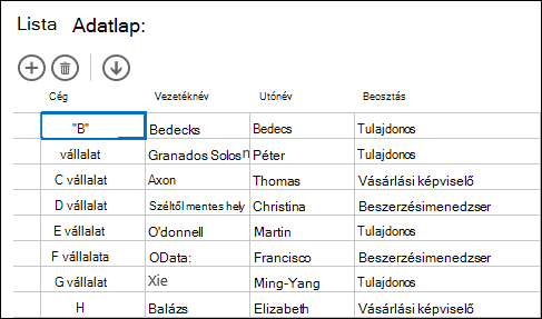 Datasheet view displaying customer records