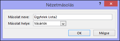 Duplicate view dialog showing name of duplicate box and location for duplicate box.