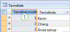 Kép a Termékek tábla elsődleges kulcsmezőjéről
