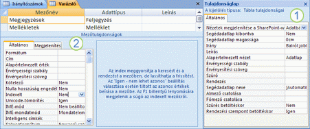 Tábla és mező tulajdonságlapja