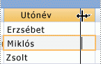 Adatlap oszlopának átméretezése