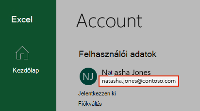 Képernyőkép egy felhasználói fiókról az Excelben.