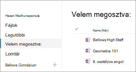 Képernyőkép a jegyzetfüzetek neveiről.