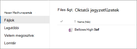 Képernyőkép oktatói jegyzetfüzetekről.