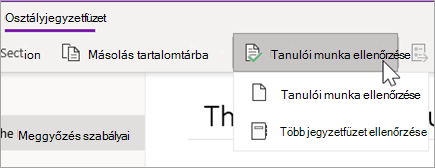 Tanulói munka ellenőrzése gomb. A Tanulói munka ellenőrzése és a Több jegyzetfüzet ellenőrzése lehetőség.