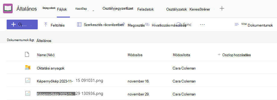 Képernyőkép a fájlokról.