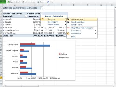 Excel Web App