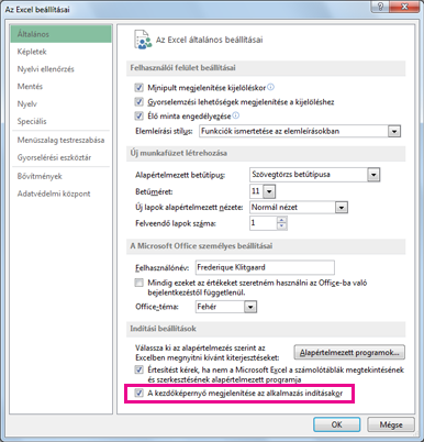 Az Excel beállításai párbeszédpanel Indítási beállítások csoportja