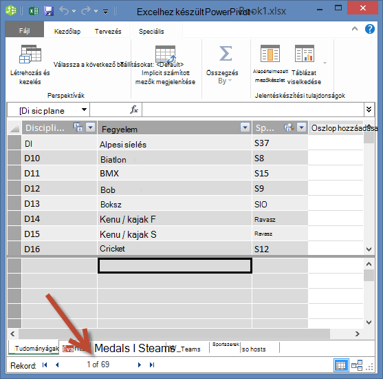 A PowerPivot megjeleníti a rekordok számát