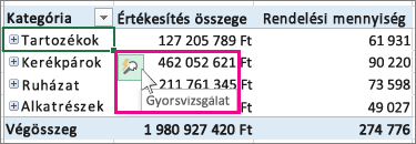 Kimutatás, amelyen a Gyorsvizsgálat gomb van kiválasztva