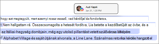 A Copilot-oldalak azonosítja a szerzőt és a Copilot-időbélyeget