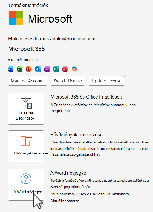 Képernyőkép az Office 365 verziónézetéről.