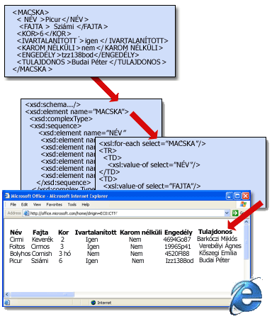 Alapvető XML fájlszerkezet egy sémával és egy átalakítóval