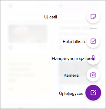 iPhone OneNote képernyőkép, két verzió two.png