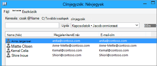 Amikor névjegyeit importálja a Google Gmail szolgáltatásból az Office 365-be, megjelenik a címjegyzékben: Névjegyek