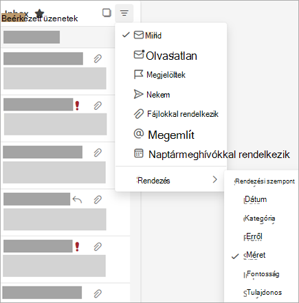Képernyőkép a Szűrés menüről a kijelölt Rendezési szempont elemmel