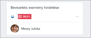 A piros dátumok a késésben lévő tevékenységeket mutatják