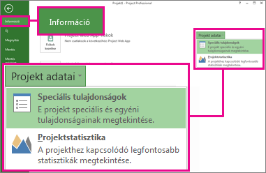 A Projekt adatai menüben kijelölt Speciális tulajdonságok