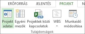 A Projekt adatai gomb képe