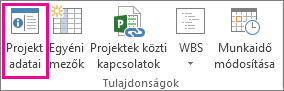 A Projekt adatai gomb a Projekt lapon