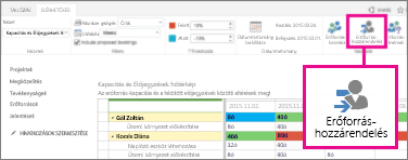 Az Erőforrás-hozzárendelések lehetőség választása az Elérhetőség lapon